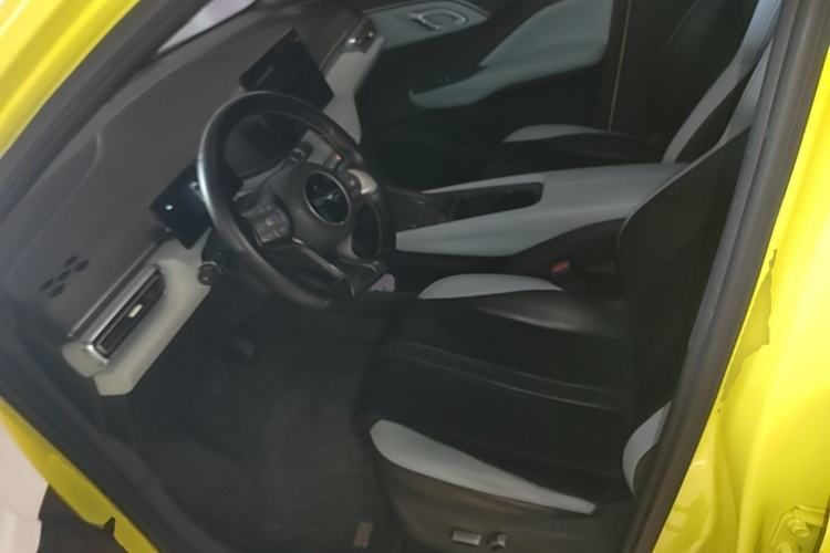 Used BYD Seagull 2023 Flying Edition Left Front Seat