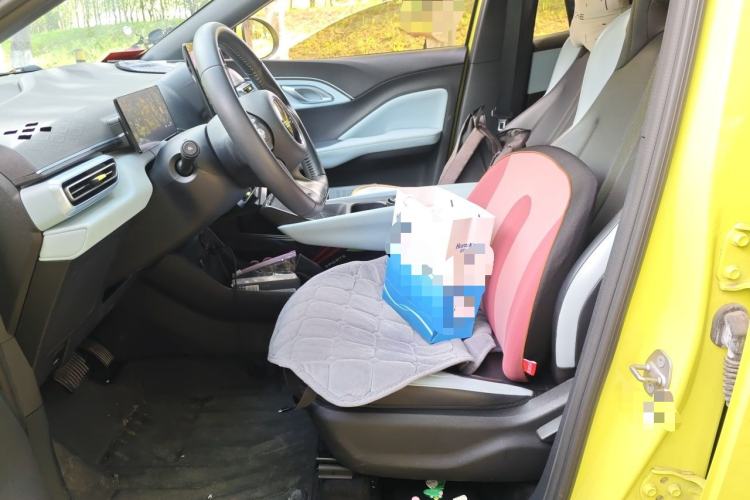Used BYD Seagull 2023 Free Edition Left Front Seat