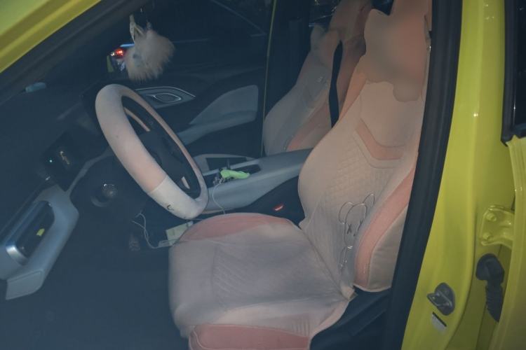 Used BYD Seagull 2023 Free Edition Left Front Seat