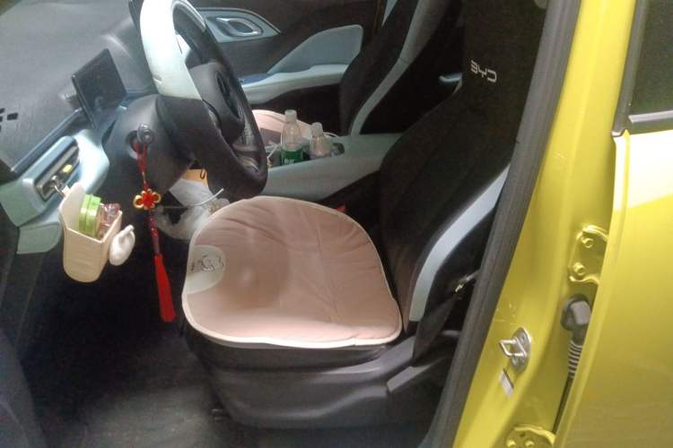 Used BYD Seagull 2023 Free Edition Left Front Seat