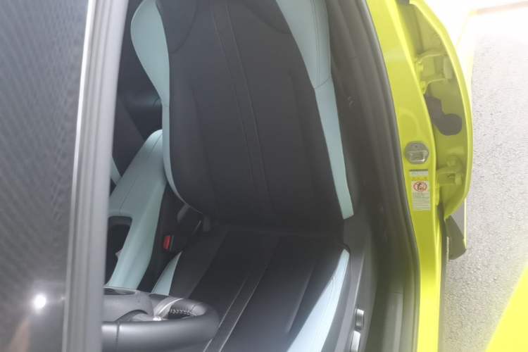 Used BYD Seagull 2023 Flying Edition Left Front Seat