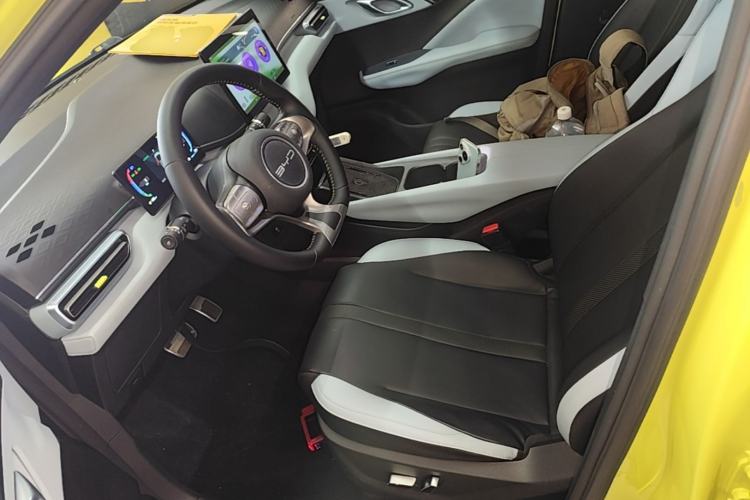 Used BYD Seagull 2023 Flying Edition Left Front Seat