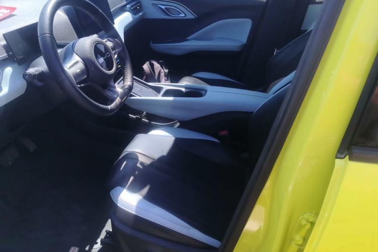 Used BYD Seagull 2023 Flying Edition Left Front Seat