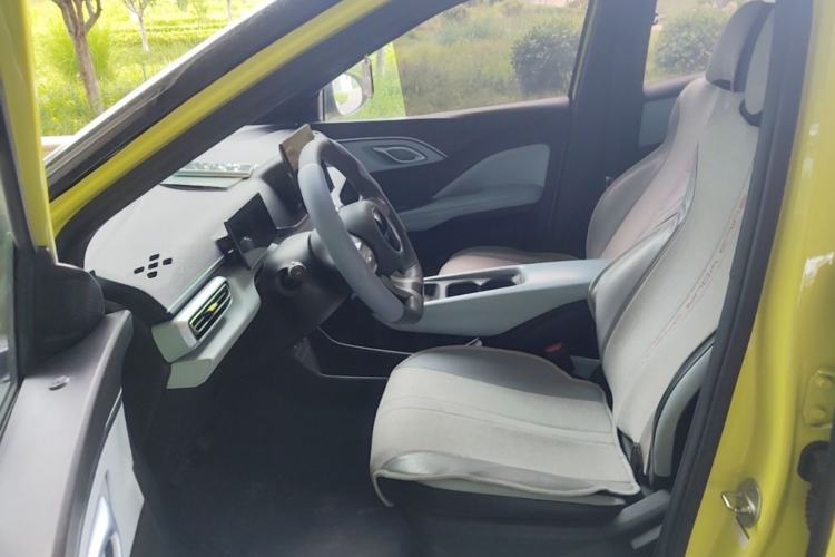 Used BYD Seagull 2023 Active Version Left Front Seat