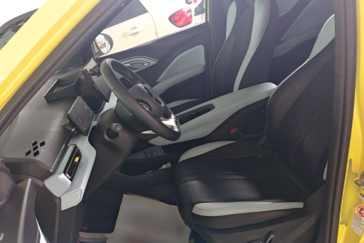 Used BYD Seagull 2023 Flying Edition Left Front Seat