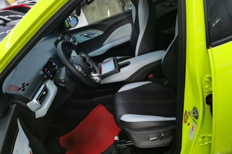 Used BYD Seagull 2023 Flying Edition Left Front Seat