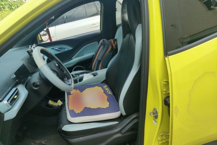 Used BYD Seagull 2023 Active Version Left Front Seat
