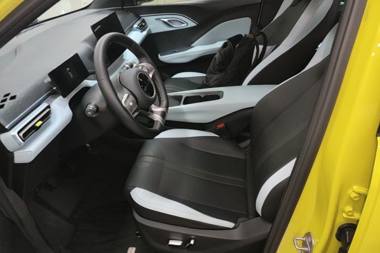 Used BYD Seagull 2023 Flying Edition Left Front Seat