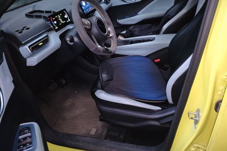 Used BYD Seagull 2023 Active Version Left Front Seat