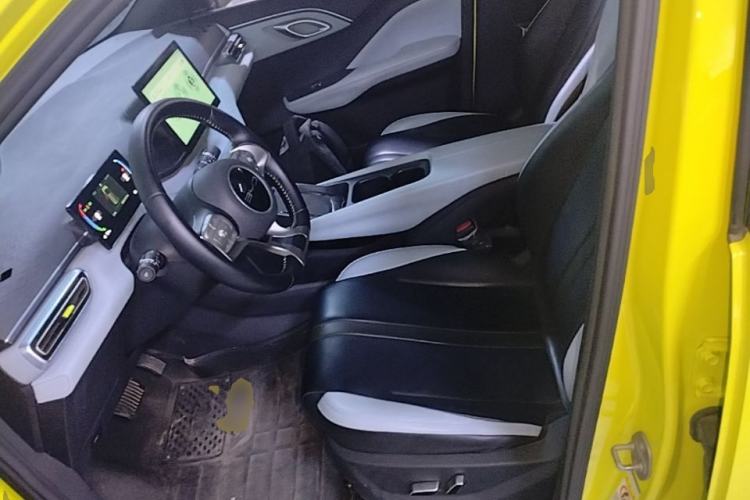 Used BYD Seagull 2023 Flying Edition Left Front Seat