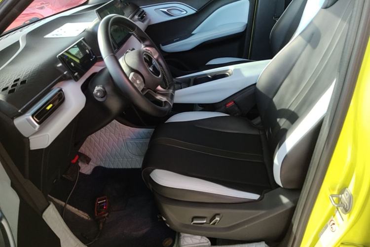 Used BYD Seagull 2023 Flying Edition Left Front Seat