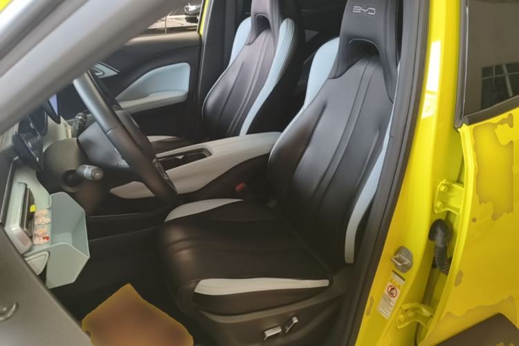 Used BYD Seagull 2023 Flying Edition Left Front Seat