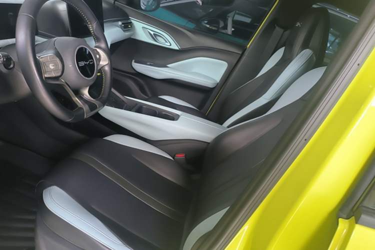 Used BYD Seagull 2023 Flying Edition Left Front Seat