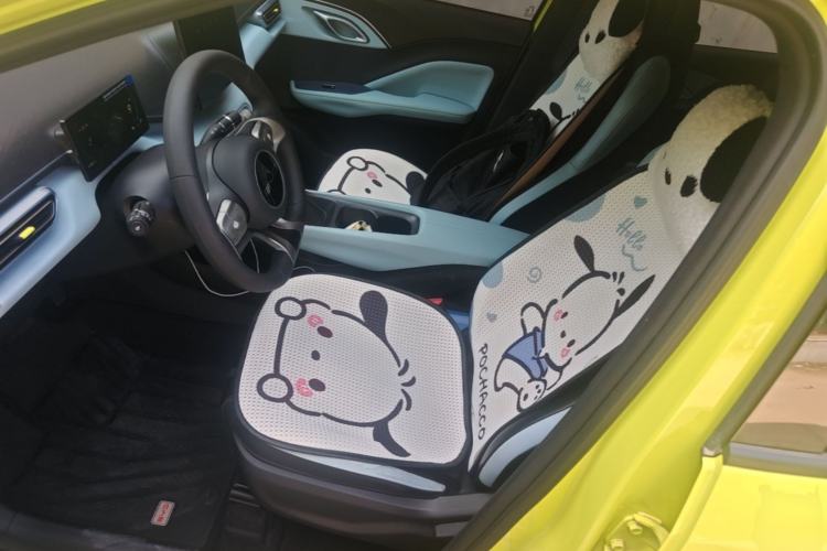 Used BYD Seagull 2023 Active Version Left Front Seat
