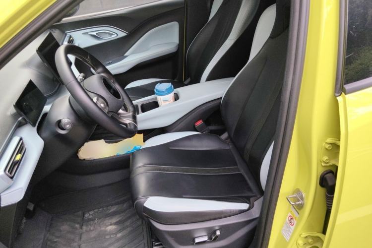 Used BYD Seagull 2023 Flying Edition Left Front Seat