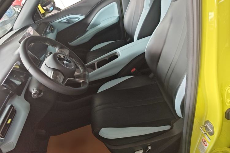 Used BYD Seagull 2023 Flying Edition Left Front Seat