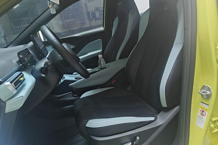 Used BYD Seagull 2023 Flying Edition Left Front Seat