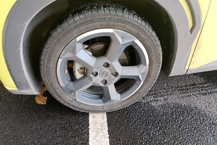 Used BYD Seagull 2023 Free Edition Left Front Wheel Hub