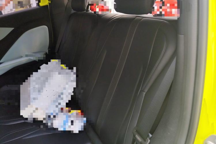 Used BYD Seagull 2023 Free Edition Left Rear Seat
