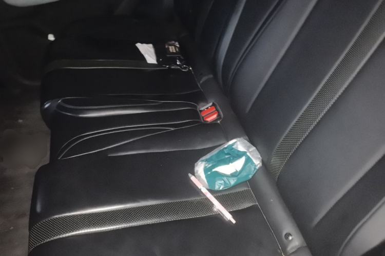 Used BYD Seagull 2023 Active Version Left Rear Seat