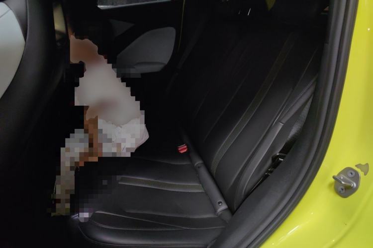 Used BYD Seagull 2023 Free Edition Left Rear Seat