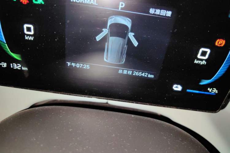 Used BYD Seagull 2023 Active Version Odometer Close Up