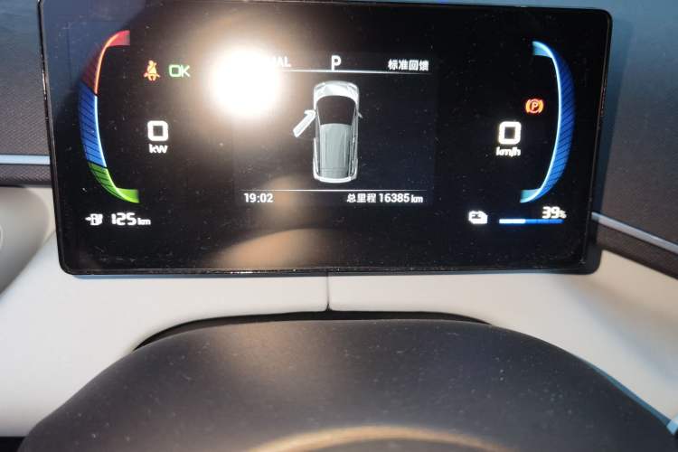 Used BYD Seagull 2023 Active Version Odometer Close Up