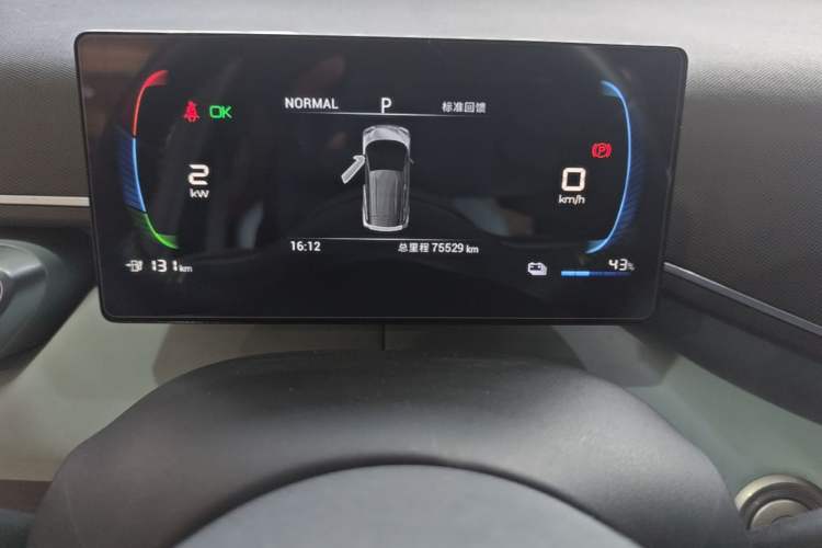 Used BYD Seagull 2023 Free Edition Odometer Close Up