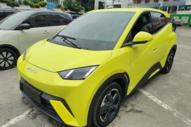 Used BYD Seagull 2023 Flying Edition