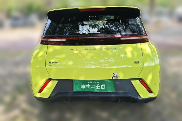 Used BYD Seagull 2023 Free Edition Rear