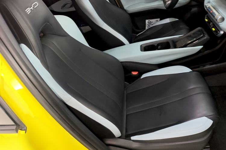 Used BYD Seagull 2023 Free Edition Right Front Seat