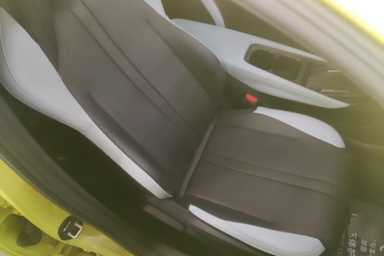 Used BYD Seagull 2023 Free Edition Right Front Seat