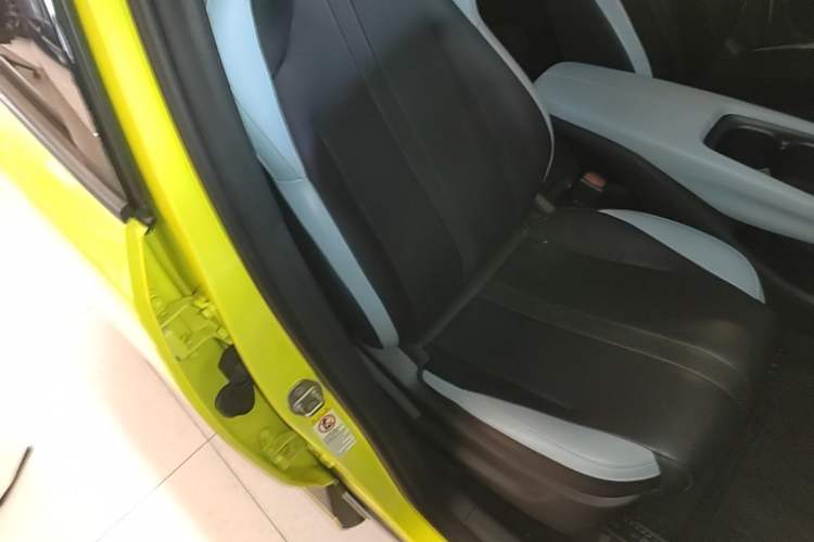 Used BYD Seagull 2023 Flying Edition Right Front Seat