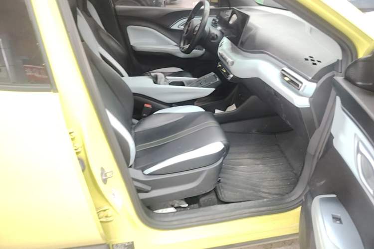 Used BYD Seagull 2023 Flying Edition Right Front Seat