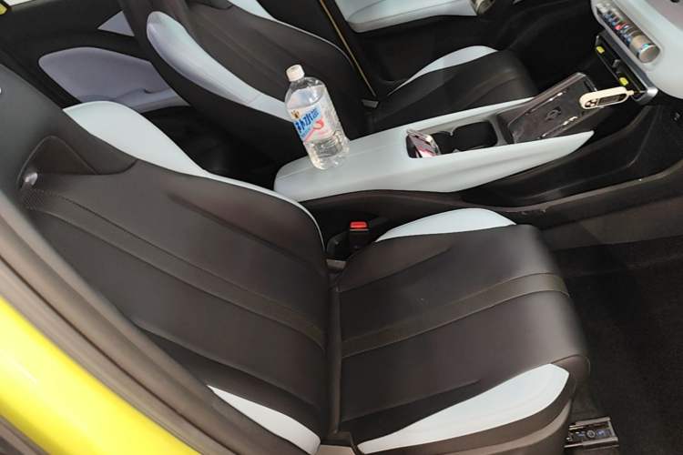 Used BYD Seagull 2023 Flying Edition Right Front Seat