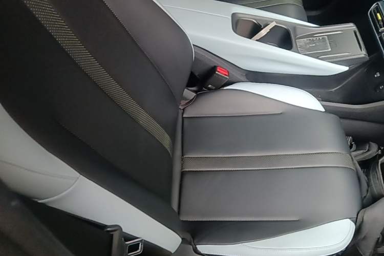 Used BYD Seagull 2023 Flying Edition Right Front Seat