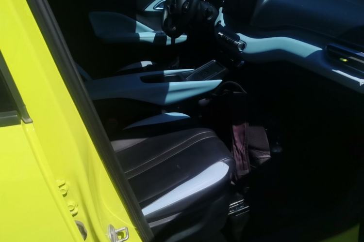 Used BYD Seagull 2023 Flying Edition Right Front Seat