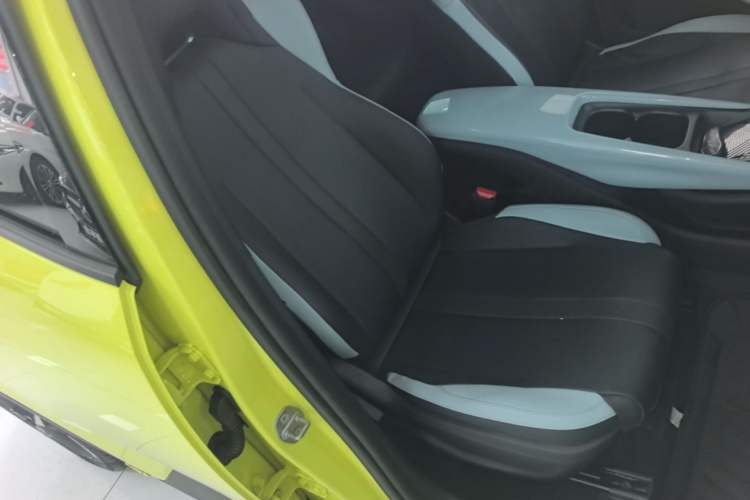 Used BYD Seagull 2023 Free Edition Right Front Seat
