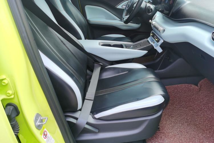 Used BYD Seagull 2023 Flying Edition Right Front Seat
