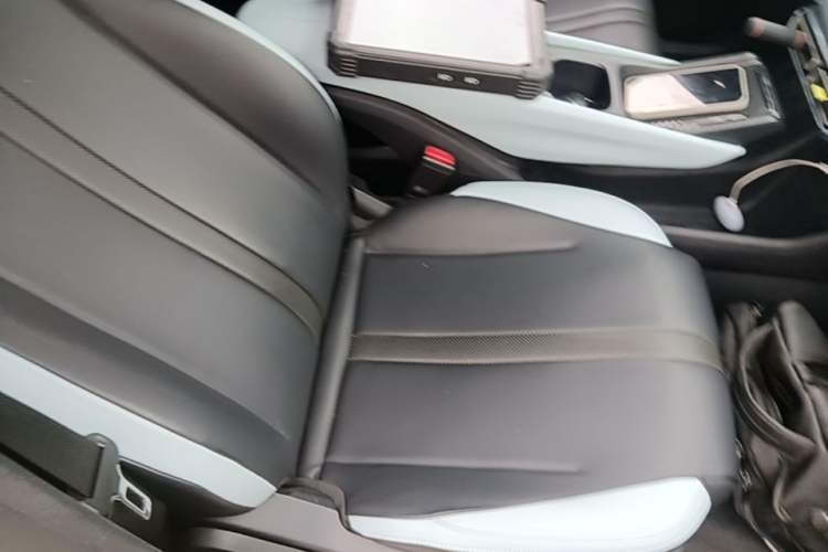 Used BYD Seagull 2023 Flying Edition Right Front Seat