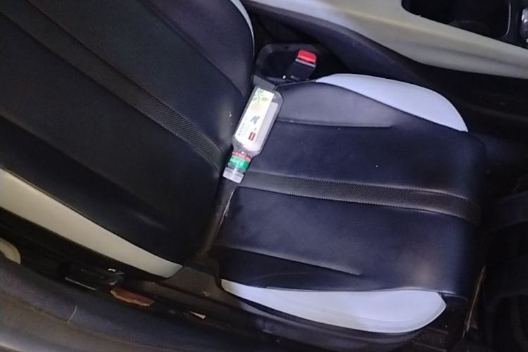 Used BYD Seagull 2023 Flying Edition Right Front Seat