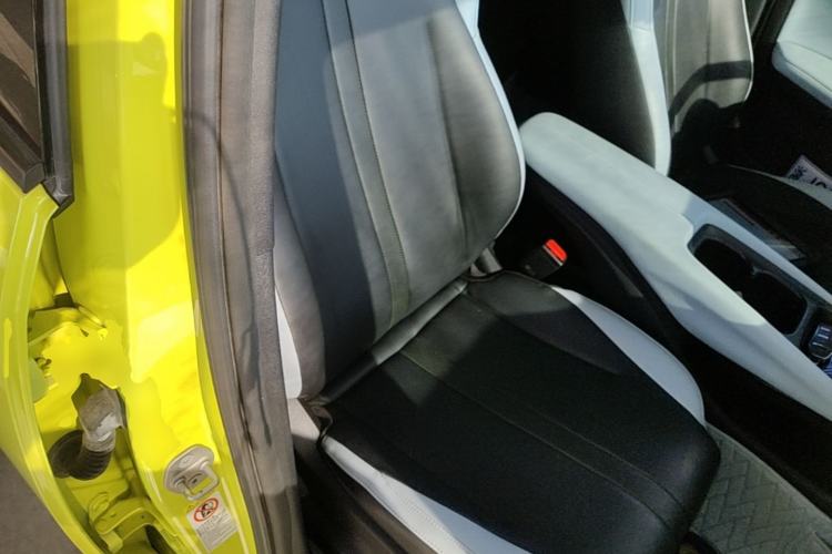 Used BYD Seagull 2023 Flying Edition Right Front Seat