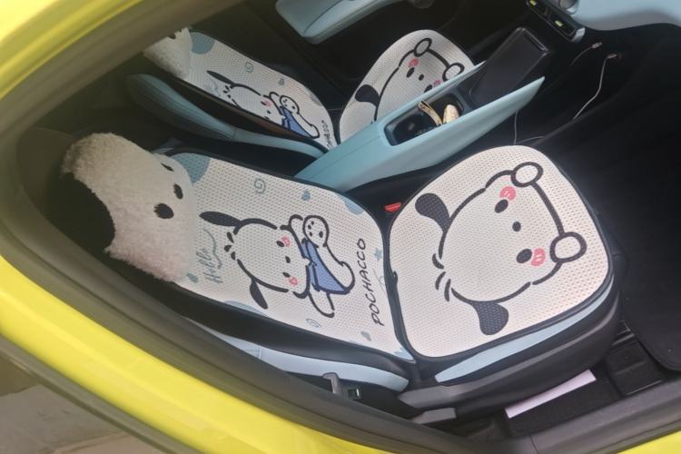 Used BYD Seagull 2023 Active Version Right Front Seat