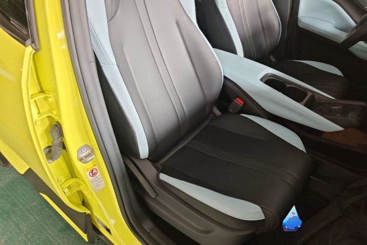 Used BYD Seagull 2023 Flying Edition Right Front Seat