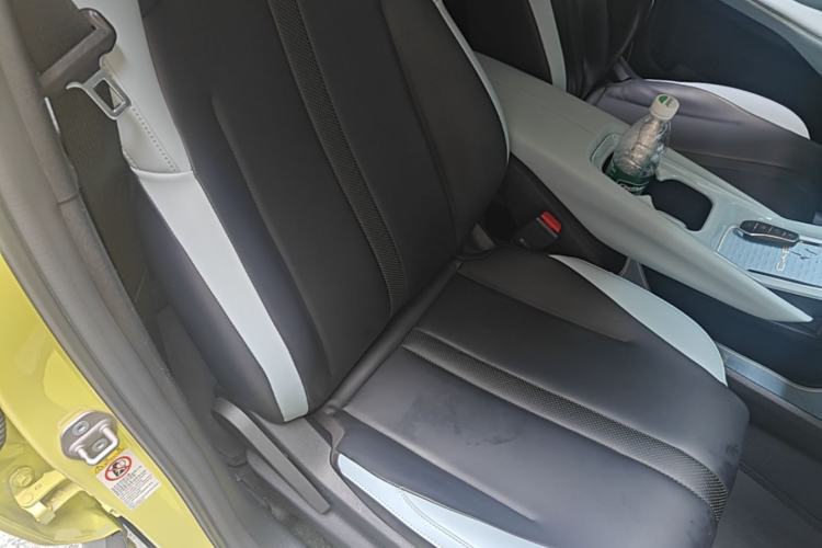 Used BYD Seagull 2023 Flying Edition Right Front Seat