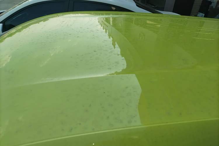 Used BYD Seagull 2023 Flying Edition Roof