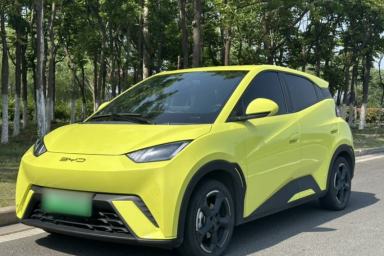 Used BYD Seagull 2023 Flying Edition