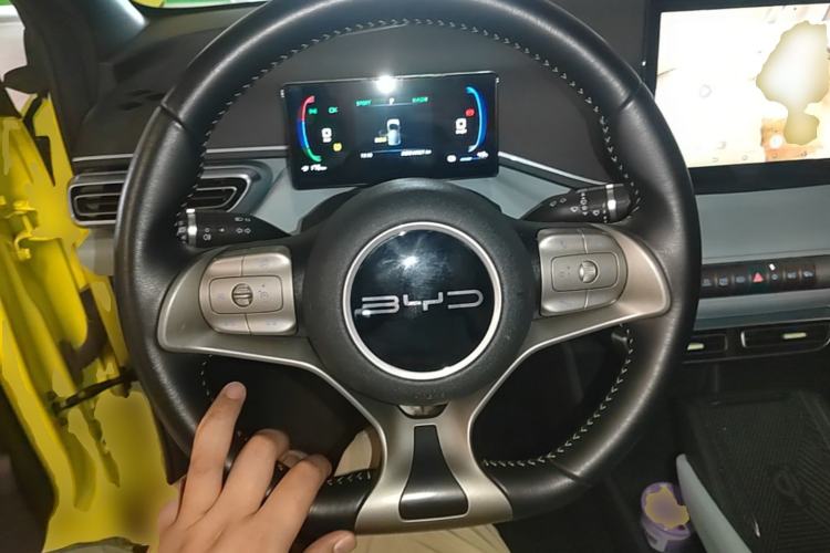 Used BYD Seagull 2023 Flying Edition Steering Wheel