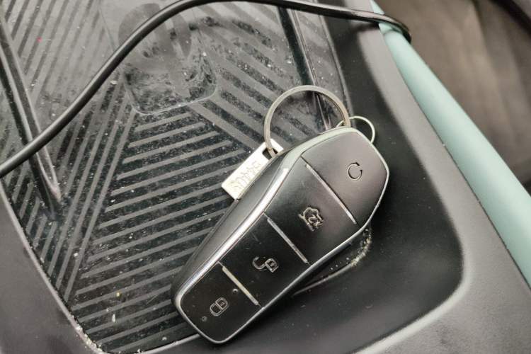 Used BYD Seagull 2023 Flying Edition Vehicle Key