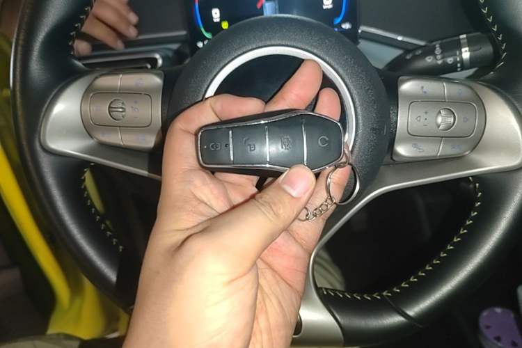 Used BYD Seagull 2023 Flying Edition Vehicle Key